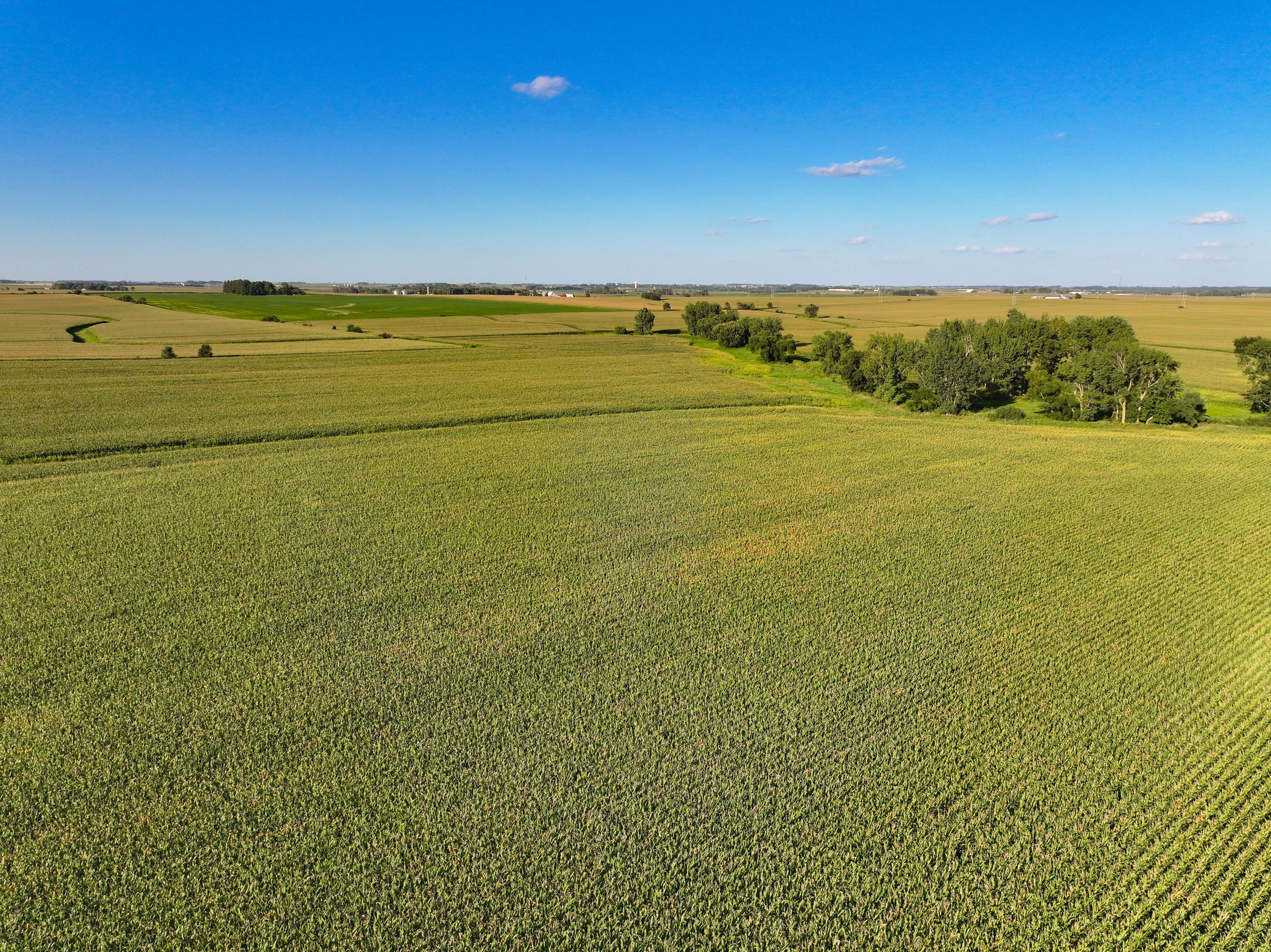 Listing Photo: 3-Fayette County Farm Auction